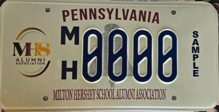 Licenses Plate